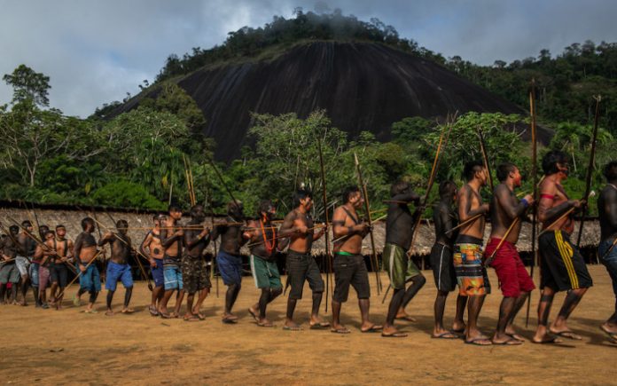 rs48933_yanomami_isa-63-scr
